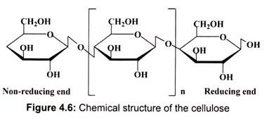 Chemical Structure of the Cellulose