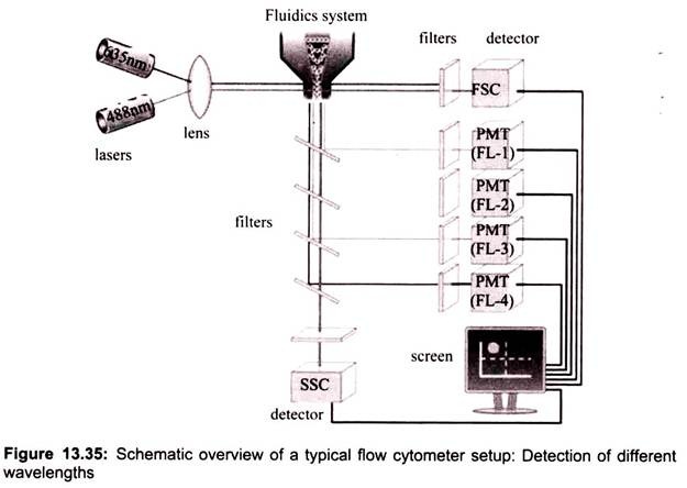 Schematic Overview of a Typical Flow Cytometer Setup
