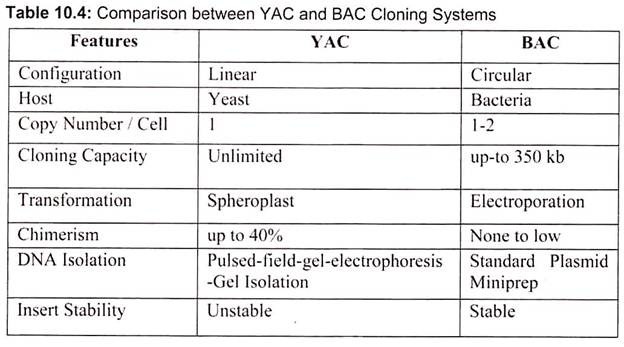 Comparison between YAC and BAC Cloning Systems