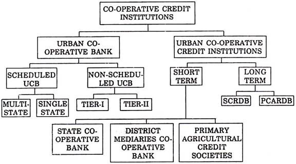 Structure of Co-Operative Credit Organisations