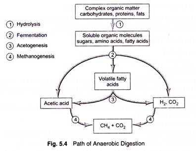 Path of Anaerobic Digestion 
