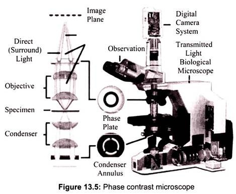 Phase Contrast Microscope