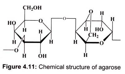 Chemical Structure of Agarose