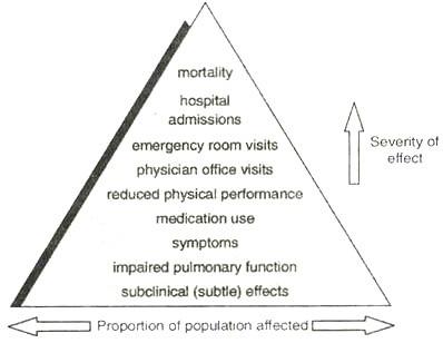 Pyramid of Health Effects