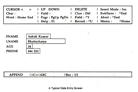 A Typical Data Entry Screen