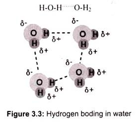 Hydrogen Boding in Water