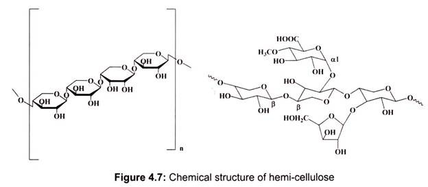 Chemical Structure of Hemi-Cellulose