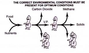 Anaerobic Decomposition