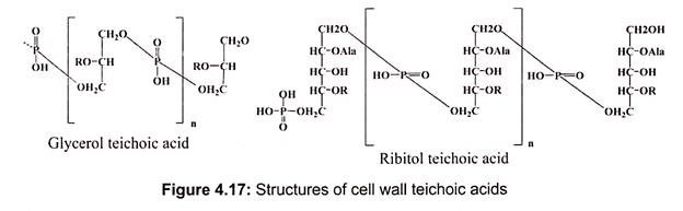 Structure of Cell Wall Teichoic Acids