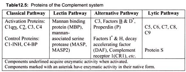 Proteins of the Complement System