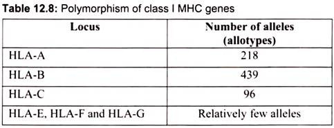 Polymorphism of Class I MHC Genes