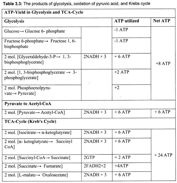 The Product of Glycolysis, Oxidation of Pyruvic Acid, and Krebs Cycle