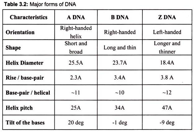 Major Forms of DNA