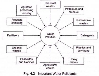 Important Water Pollutants