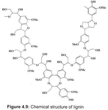 Chemical Structure of Lignin