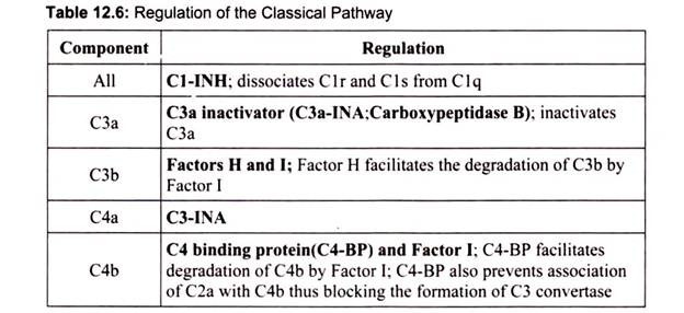 Regulation of the Classical Pathway