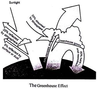 The Greenhouse Effect